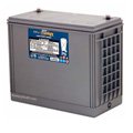 MK Battery 12 Volt 135 AH Deep Cycle AGM Battery 31HR5000S