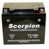 YT16BL Scorpion 12v 270 CCA AGM Power Sport & Motorcycle Battery