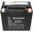hYTX16BHL Scorpion 12v 300 CCA Harley HVT-4 AGM Motorcycle Battery