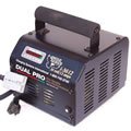 Eagle 36v 12 Amp Golf Cart Smart Charger with Anderson SB50 E36v12a