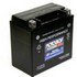 YTX14BS 12v AGM Maintenance Free Powersport and Motorcycle Battery