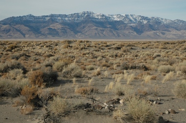 Oregon Desert