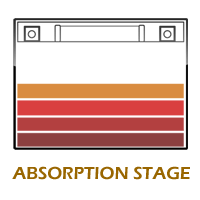 Absorption Stage