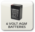 UPG 6 Volt AGM Batteries