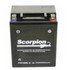 YTX14AHL-BS Scorpion 12v 210 CCA AGM ATV & Motorcycle Battery