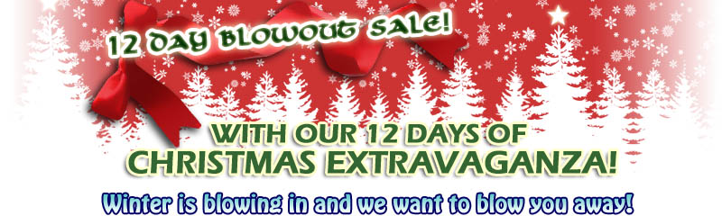 12 Days of Christmas Sale